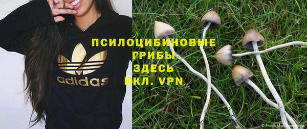 Альфа ПВП Баксан